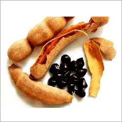 Fresh Tamarind