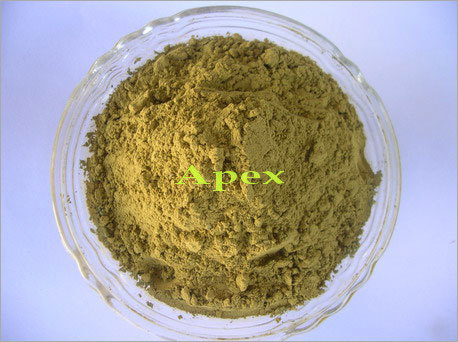 Henna Powder - Color: Green (Powder); Imparts Natural Reddish-Brown Tint.