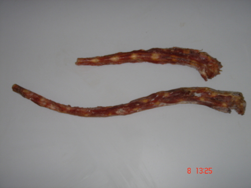 Beef Tail
