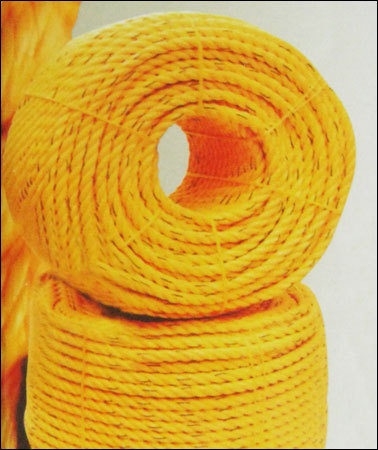 Mountain Climbing Rope Gender: Male