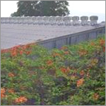 छत वेंटिलेशन सिस्टम