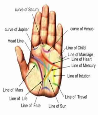 पामिस्ट्री क्लास