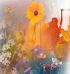 Fragrances