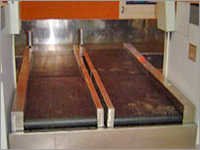 इंजेक्ट कन्वेयर लोड क्षमता: 100 किलोग्राम (किग्रा)