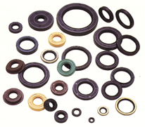 Oil Seals