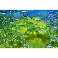 APEO फ्री इमल्सीफायर्स - EO PO ब्लॉक कॉपोलीमर्स