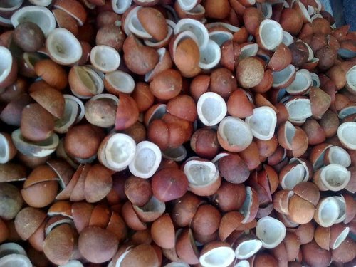 नारियल का गोला