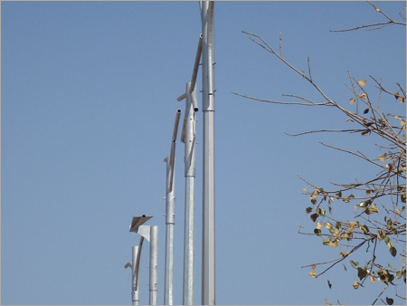 Utility Poles