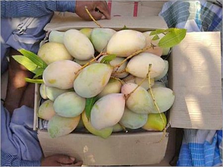 ताज़ा आम