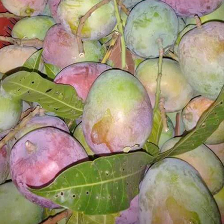 फार्म फ्रेश आम