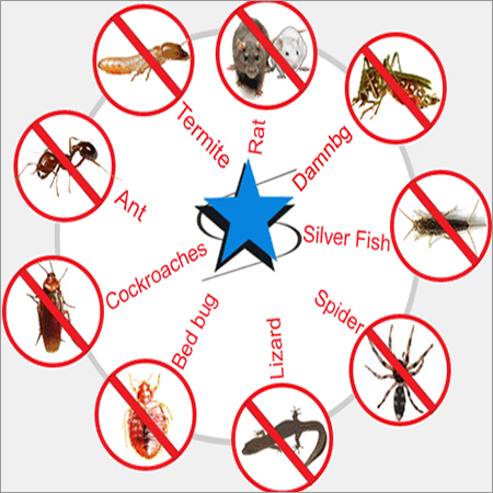 सामान्य कीट नाशक सेवा