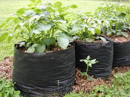 LDPE ग्रो बैग्स