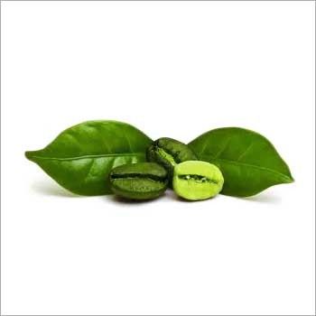 Pure Green Coffee Bean Extract