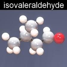 Isovaleraldehyde - Liquid Technical Grade, Density 0.785 g/mL at 20°C, 99% Purity, Boiling Point 92°C, Molar Mass 86.13 g/mol