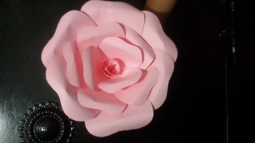 चेरी क्रैकिंग