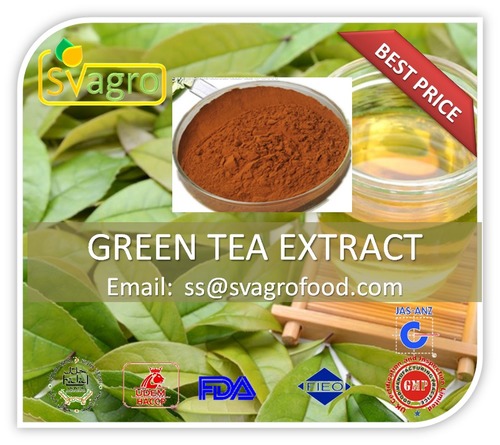 100% Pure Natural Green Tea Extract - Powder Form, 98% Purity, Leaf Part | 2-Year Shelf Life