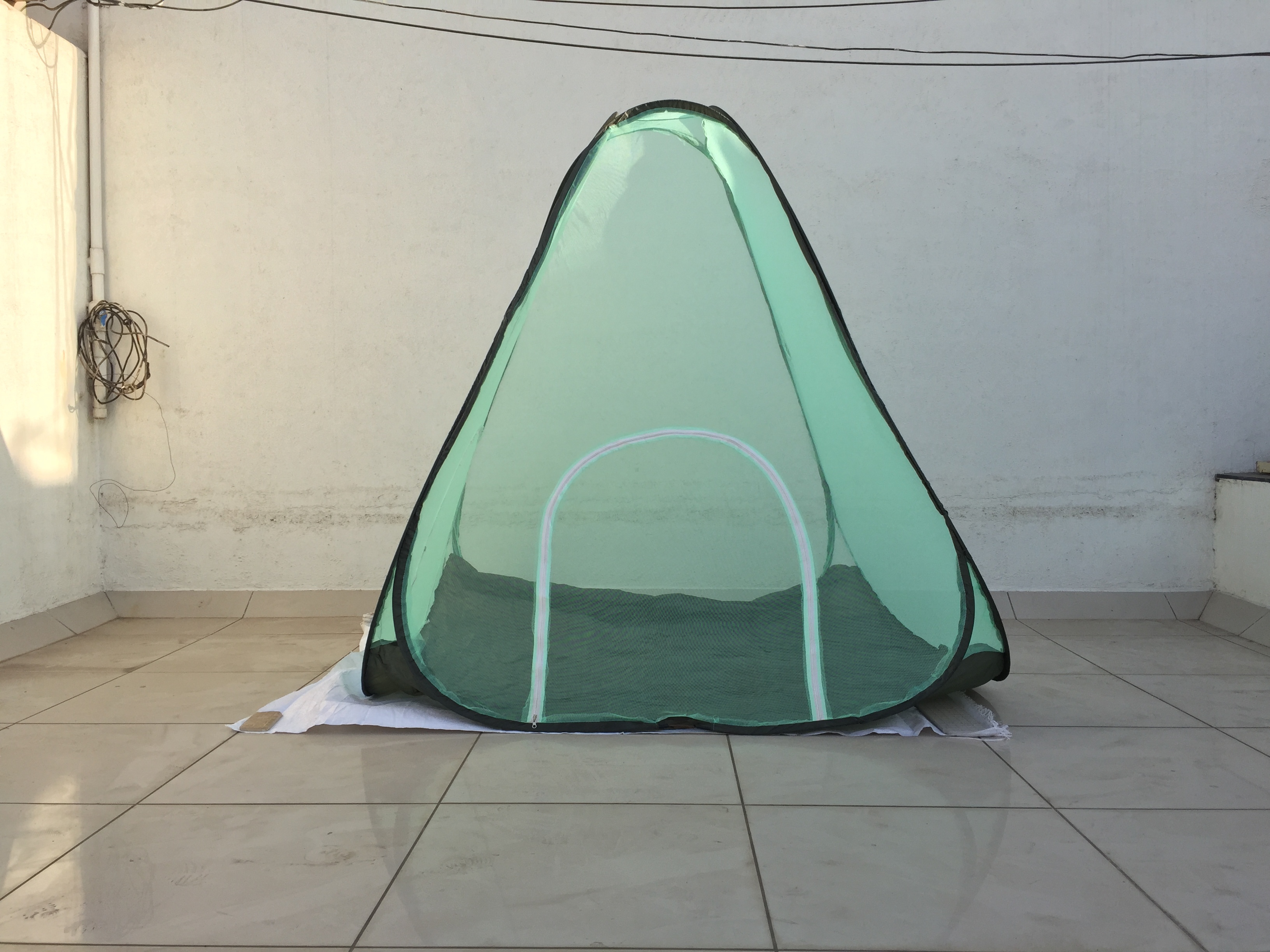 Double Bed Mosquito Net - Polyester, 72x72 Inches, Green | Tear Resistant, Breathable Design, Easy To Fix, Wash Wet Care