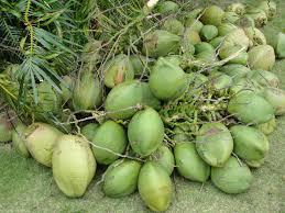 हरा नारियल