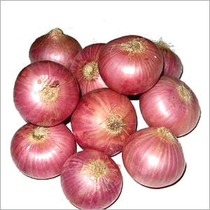 ताजा लाल प्याज