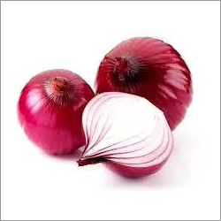 लाल प्याज