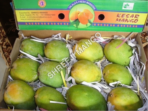 केसर आमों का गूद