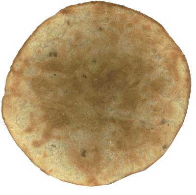 भोजन