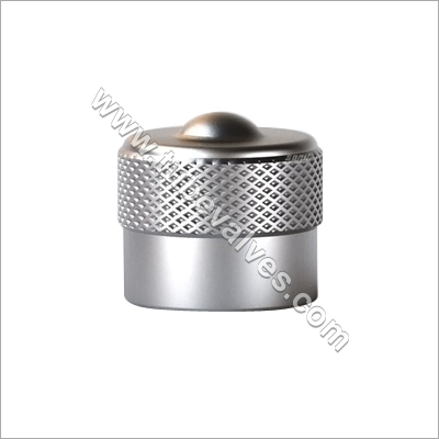 Tubeless Tyre Valve