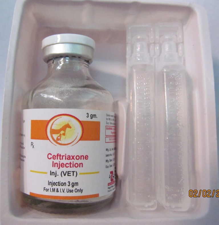 Veterinary Ceftriaxone Injection - 3 Gm Vial | Sterile, Gmp Certified, High Efficacy Antibiotic For Broad-spectrum Infection Treatment