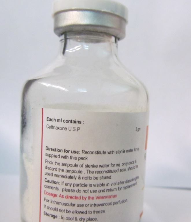 Veterinary Ceftriaxone Injection - 3 Gm Vial | Sterile, Gmp Certified, High Efficacy Antibiotic For Broad-spectrum Infection Treatment
