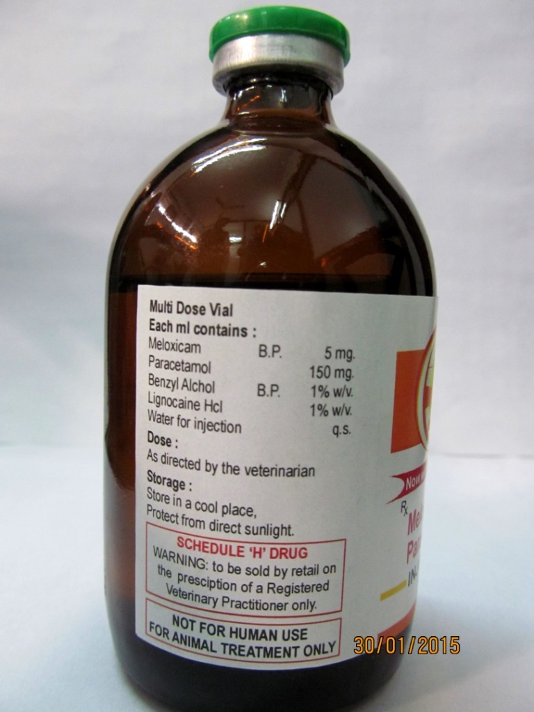 Tablets Veterinary Meloxicam Paracetamol Injection