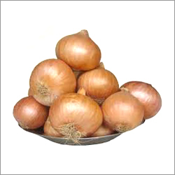 Indian Red Onion