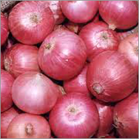 Preserved Onions