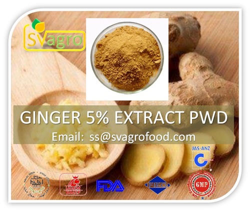 Pure Natural Ginger P.E. 5% 10:1 Ginger Extract Purity(%): 98%
