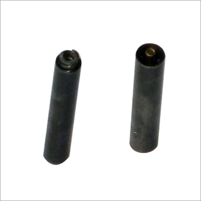 विशेष पंच