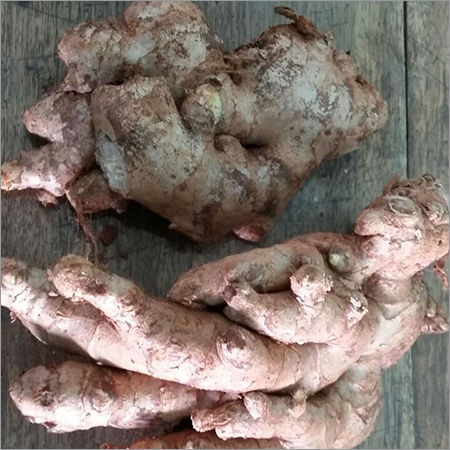 ताजा अदरक