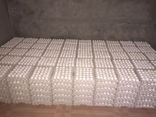 सफेद टेबल पोल्ट्री अंडा