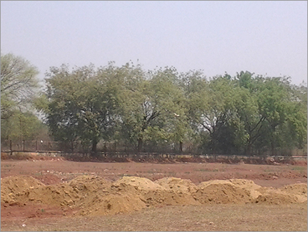 मानसून वन क्षेत्र में पौधारोपण की भूमि