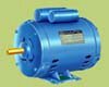 Single Phase Electric Motor