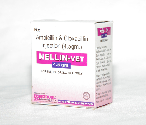 Ampicillin & Cloxacillin Injection