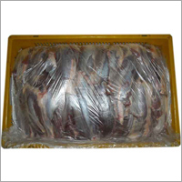 शिन शंक फ्रोजन