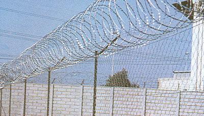 फेंसिंग वायर और कॉइल