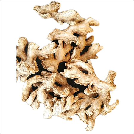 सूखी अदरक