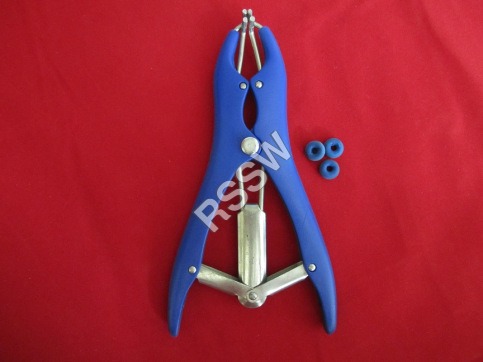 ईस्ट्रेटर रिंग्स