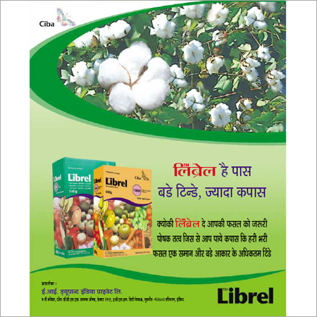 प्रिंटिंग और डिज़ाइन सेवा
