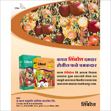 लीफलेट्स