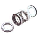 बैक टू बैक रॉबिन सील