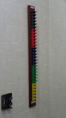 Plastic Shoulder Abduction Ladder (Wall Mounting)