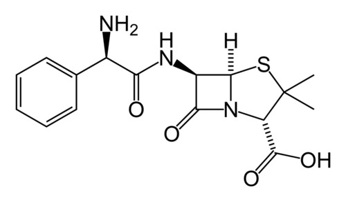 Ampicillin