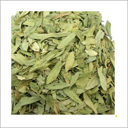 कैसिया एंगस्टिफोलिया