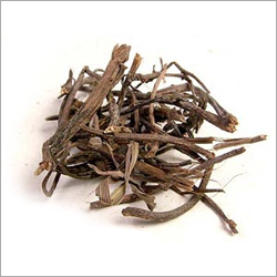 इक्लिप्टा अल्बा